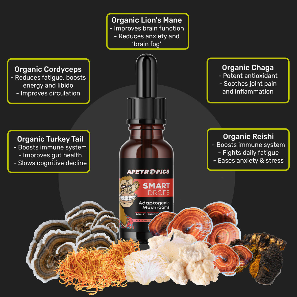 Buy Apetropics Smart Drops™ & Nootropics - Apetropics